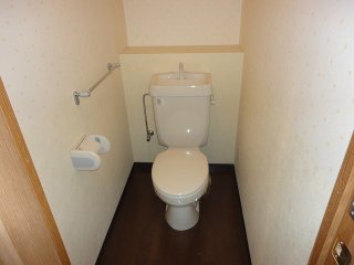 Toilet. Bidet There outlet can be installed. 