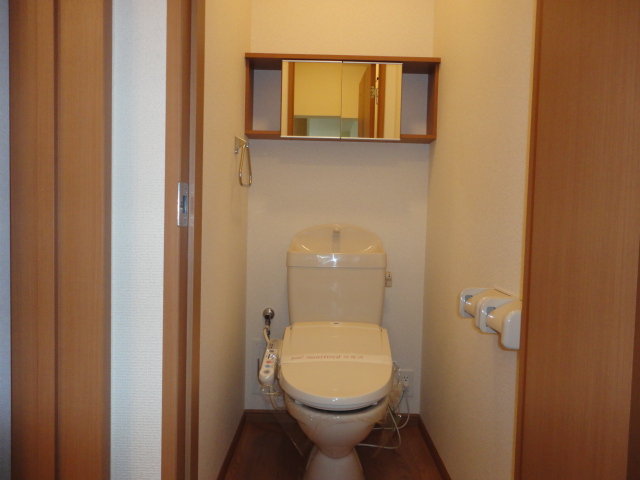 Toilet. Bathroom with a shower. The shelf is equipped with a mirror. 