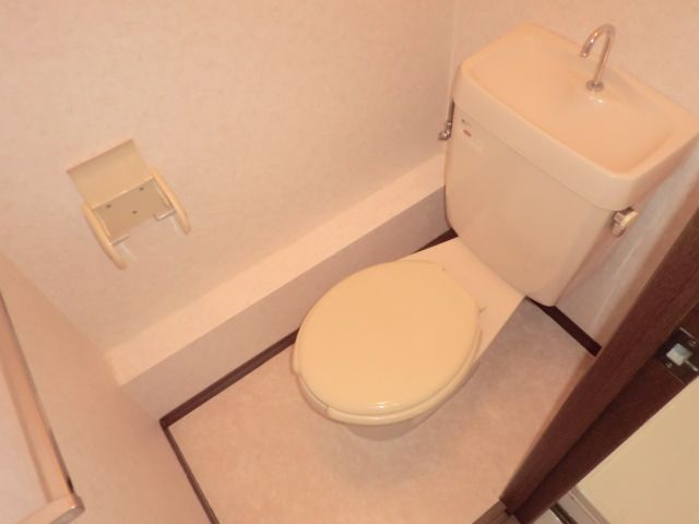 Toilet. It is a clean Western-style toilet. 