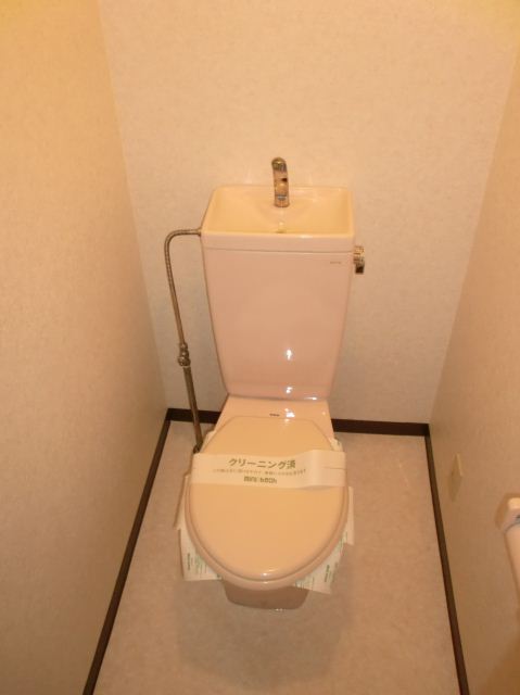 Toilet. Toilet with cleanliness