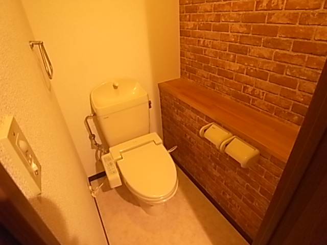 Toilet. Stylish brick