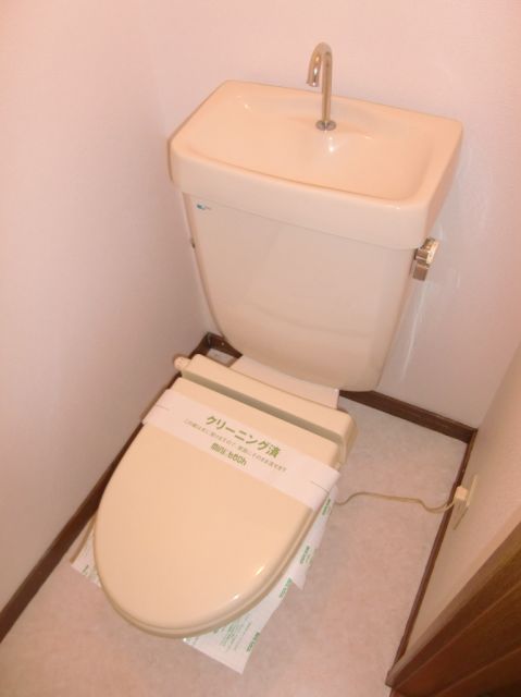Toilet. Is a Western-style toilet seat heating