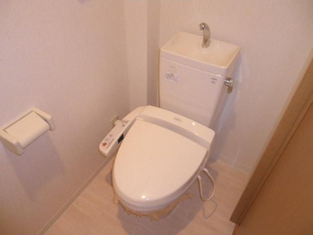 Toilet. Shower is equipped with toilet. 
