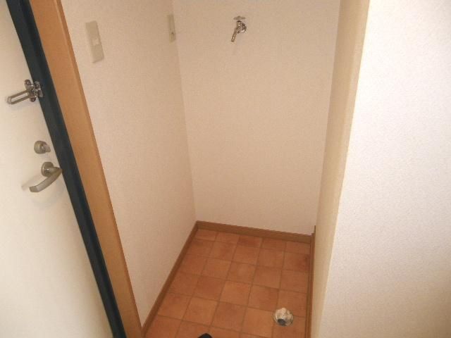 Other room space. It is indoor washing machine Storage. 