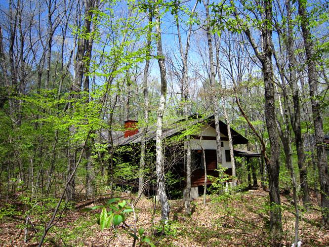 Local appearance photo. Villa nestled in the forest