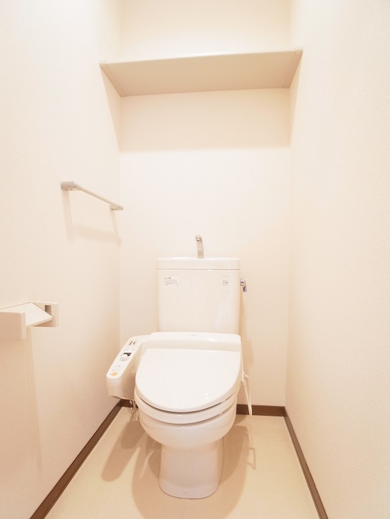 Toilet. Clean washing heating toilet seat, With storage shelves on the top