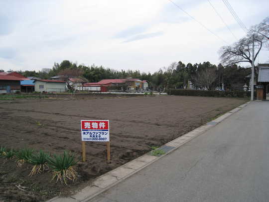 Local land photo