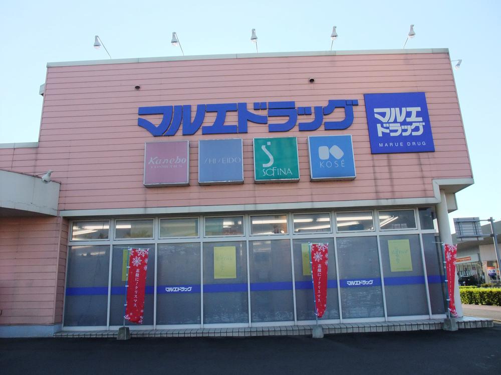 Drug store. It marue drag Annaka 747m to Suginami tree shop