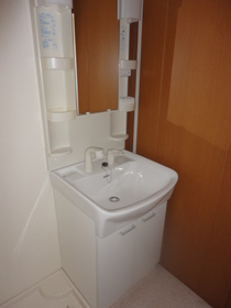 Washroom. Shampoo dresser