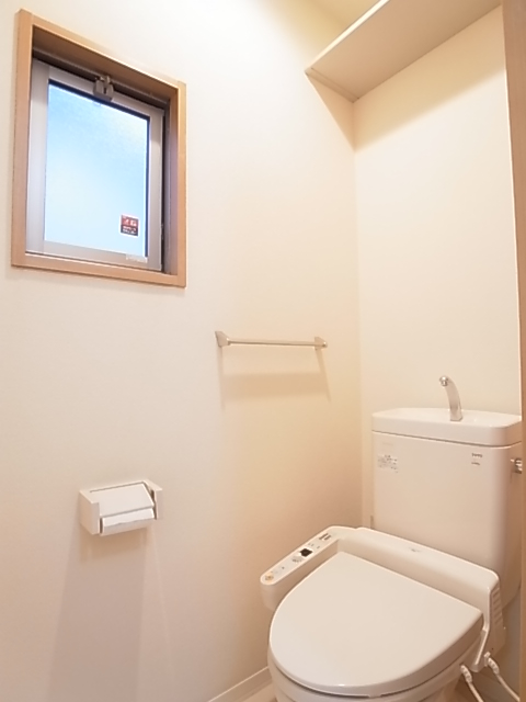 Toilet. Heating washing toilet seat, Storage shelves at the top