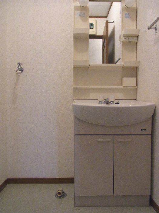 Washroom. There is storage room washing machine