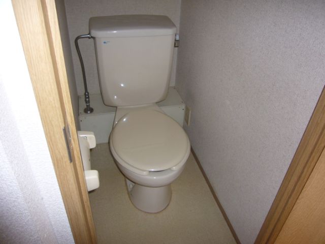 Toilet. Toilet with cleanliness. 