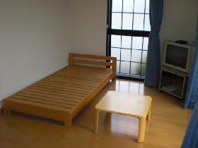 Living and room. Bed, tv set, It is with table