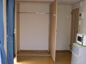 Living and room. Spacious closet