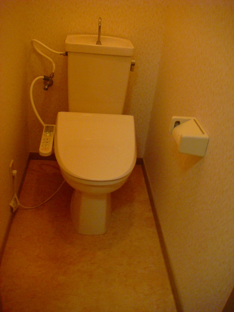 Toilet. Image is after renovation