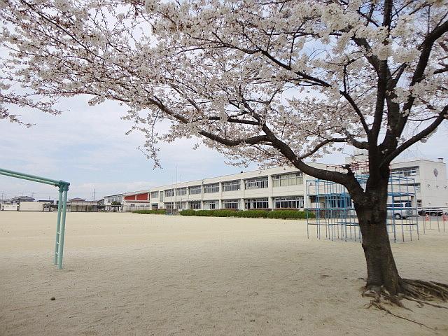 Primary school. 800m until Hirose elementary school
