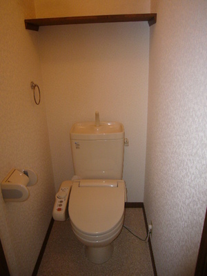 Toilet. Toilet