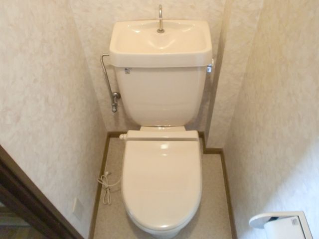 Toilet. It is a toilet with a clean. 