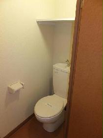 Toilet. It comes with the upper portion housing shelf