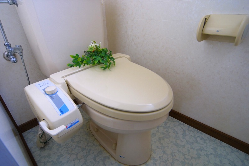 Toilet