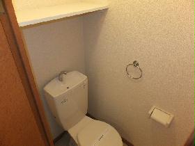 Toilet. With happy storage space at the top