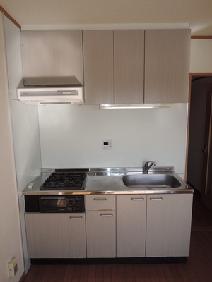 Kitchen. System kitchen