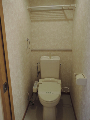 Toilet. Washlet toilet