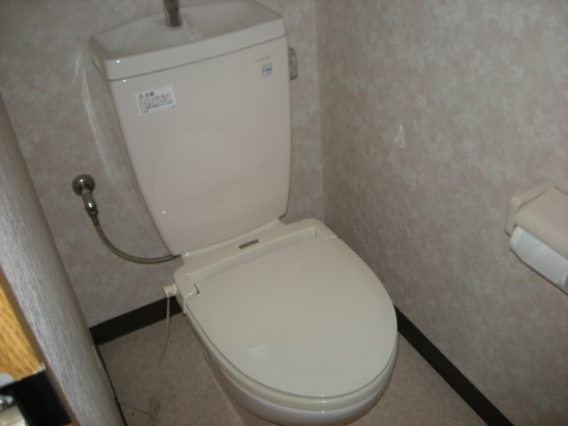 Toilet. Toilet with cleanliness