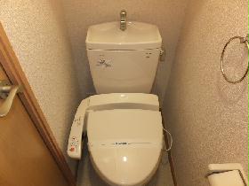 Toilet. It is with warm water toilet seat.