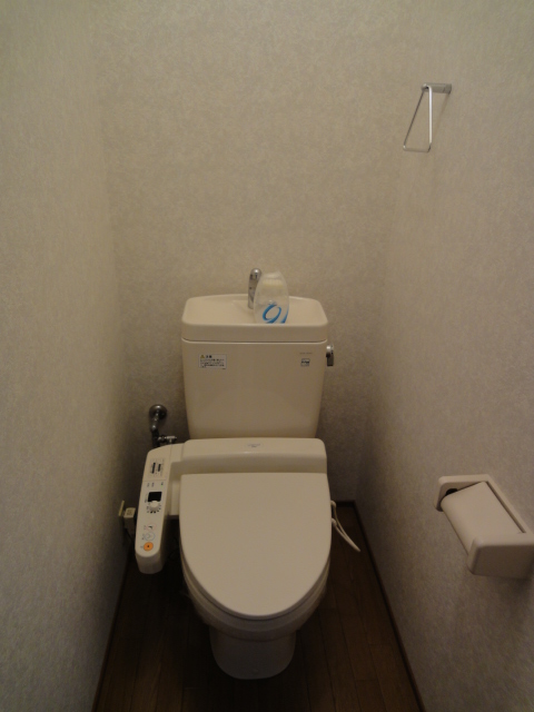 Toilet. Bidet with comfortable because