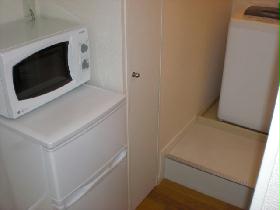 Other. refrigerator, microwave, It is with a washing machine