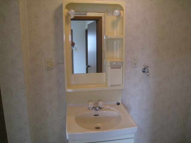 Washroom. Bathroom vanity