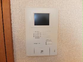 Living and room. Women's must-see monitor with intercom