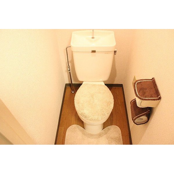 Toilet. Model room published in! 