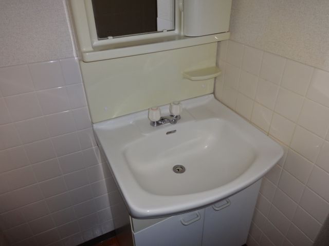 Washroom. With large washbasin
