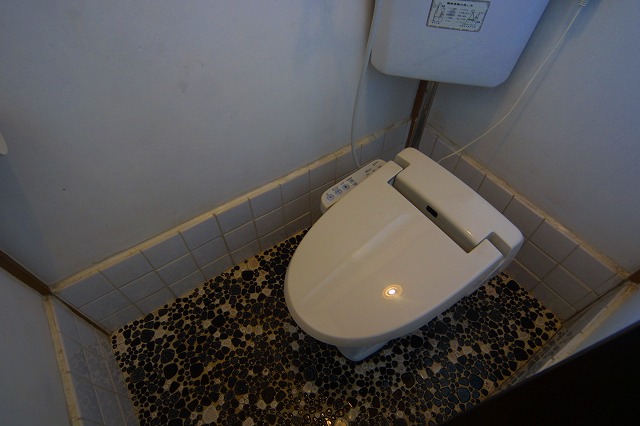 Toilet. With warm water washing heating toilet seat