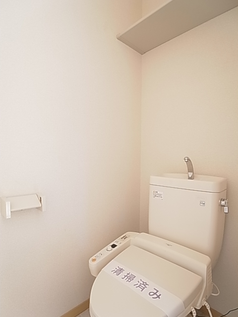 Toilet. Clean washing heating toilet seat