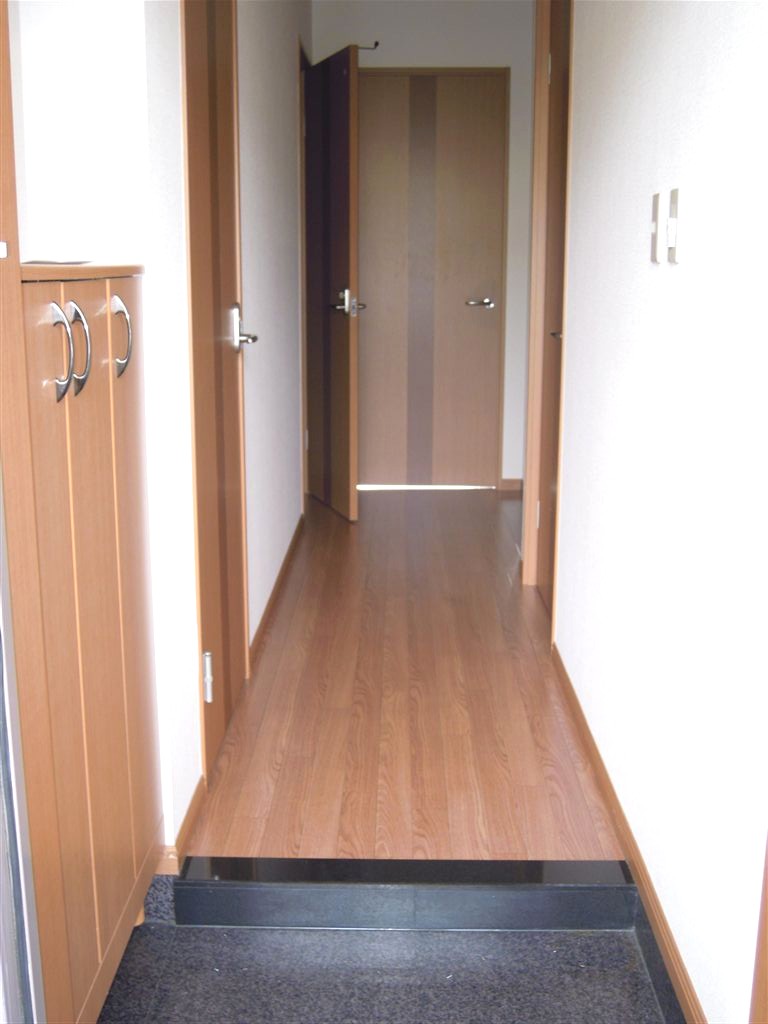 Entrance. Maintains the integrity and clean the clutter tend entrance because there is a shoebox