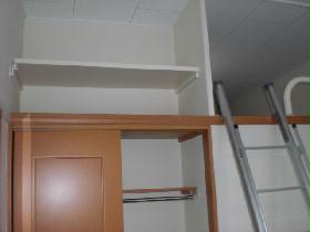 Other. There are also housed in the top of the closet. 