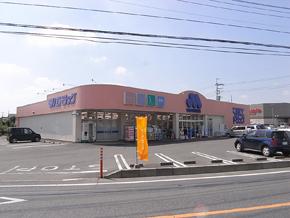 Drug store. Marue 457m to drag Niisato shop