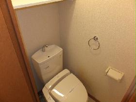 Toilet. There are also storage space on with convenient hot water toilet seat