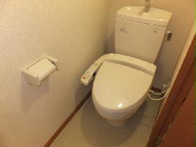 Toilet. It is with a convenient hot water toilet seat