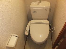 Toilet. It is with a useful warm water toilet seat