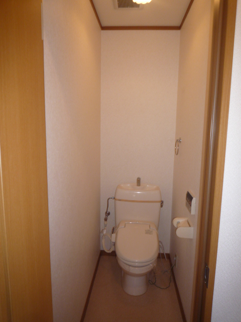 Toilet. Toilet with shower, Also have a towel