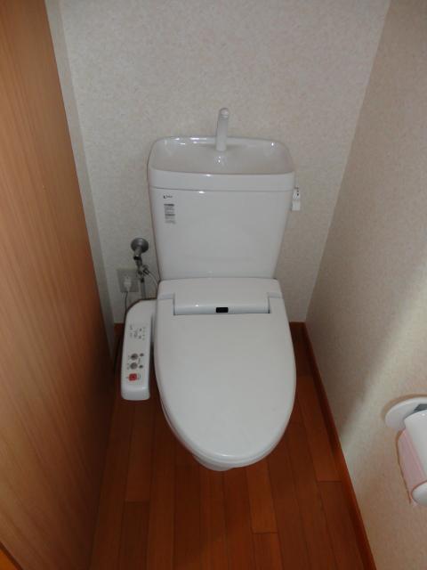 Toilet. Indoor (10 May 2012) shooting
