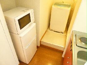 Other. Microwave and refrigerator and washing machine