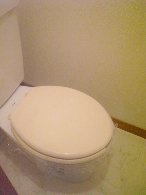 Toilet