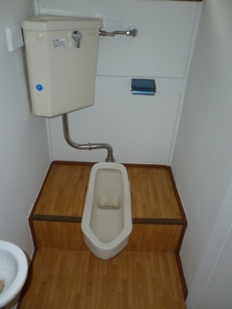 Toilet. It comes with hand-washing facilities. 