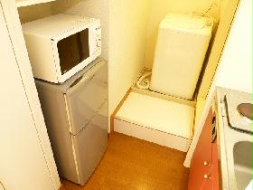 Other. It is a microwave and a refrigerator and washing machine