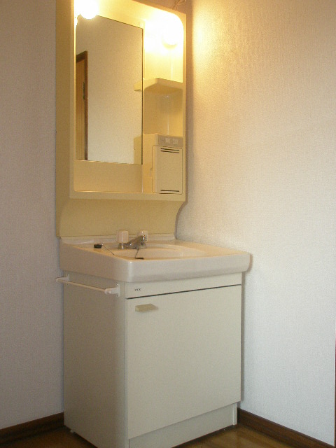 Washroom. Bathroom vanity